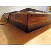 Biowasserbett massiv Nussbaum Sockel schwarz 25 cm