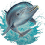 Group logo of Wasserbett Modelle 2024